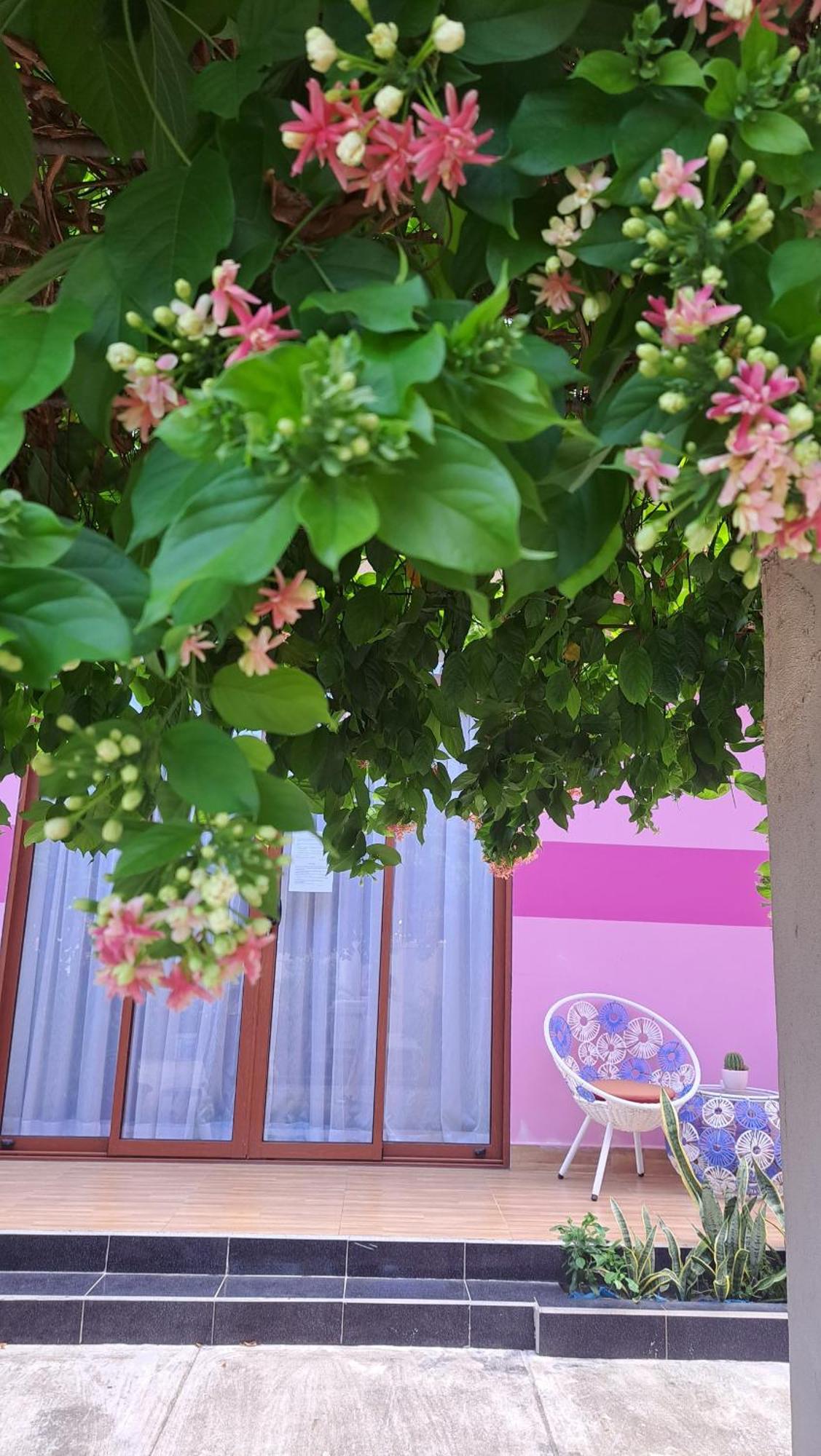 Pink House Homestay Hoi An Exteriör bild