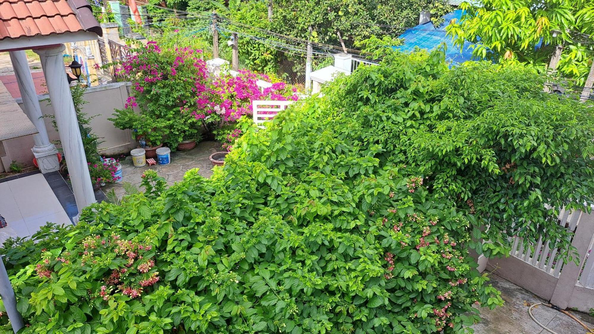 Pink House Homestay Hoi An Exteriör bild