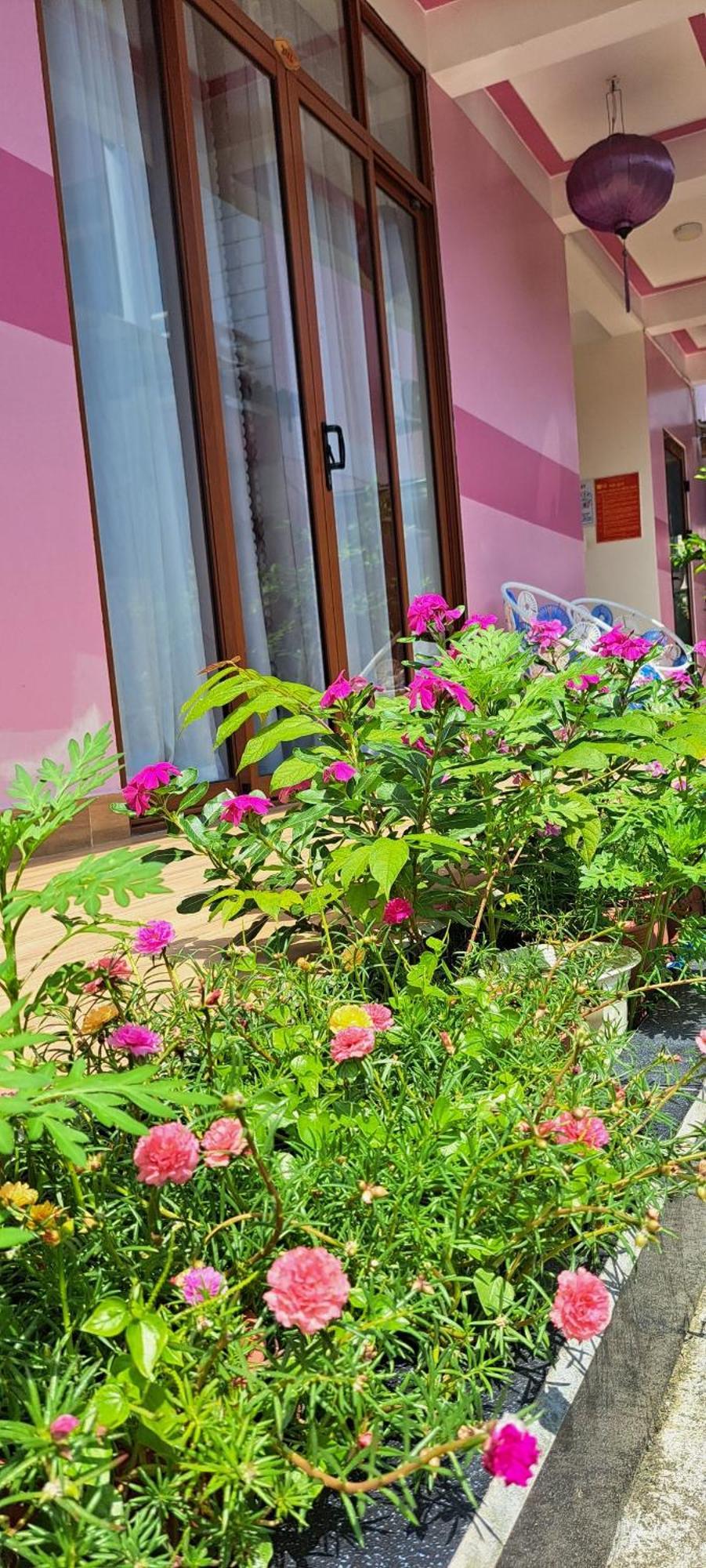 Pink House Homestay Hoi An Exteriör bild