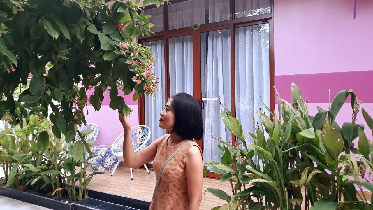 Pink House Homestay Hoi An Exteriör bild